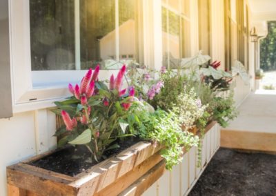 Boxwood Window Box