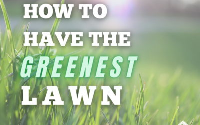 How to Have the Greenest Lawn in Fredericksburg, VA