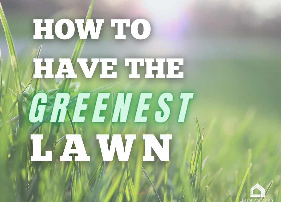 How to Have the Greenest Lawn in Fredericksburg, VA